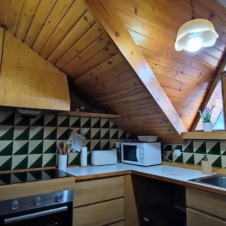 El Niuet -acollidor àtic-dúplex Cèntric Amb Vistes Appartement Sort